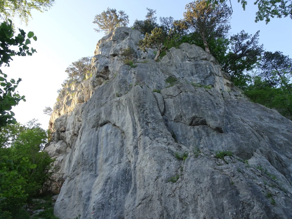 The "Hausstein"