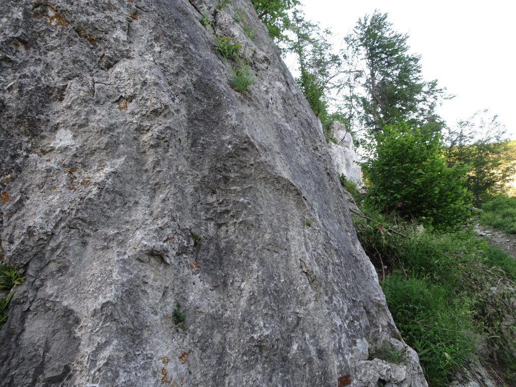 Climbing routes at "Hausstein"