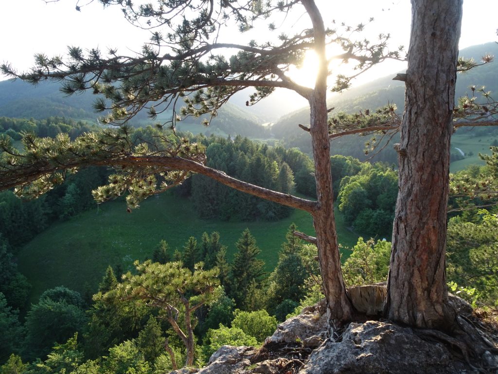 View from the top of "Hausstein"