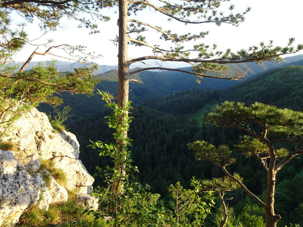 View from the top of "Hausstein"