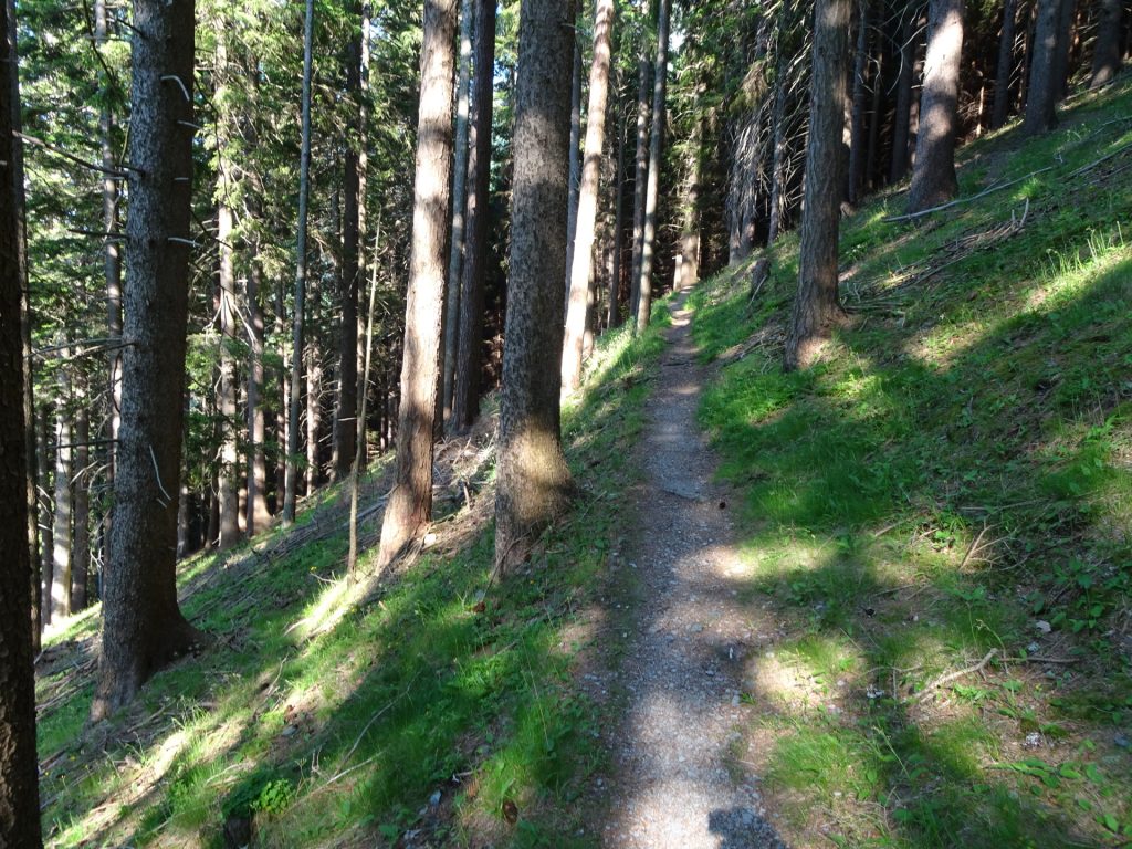 Trail upwards towards "Kleine Nass"