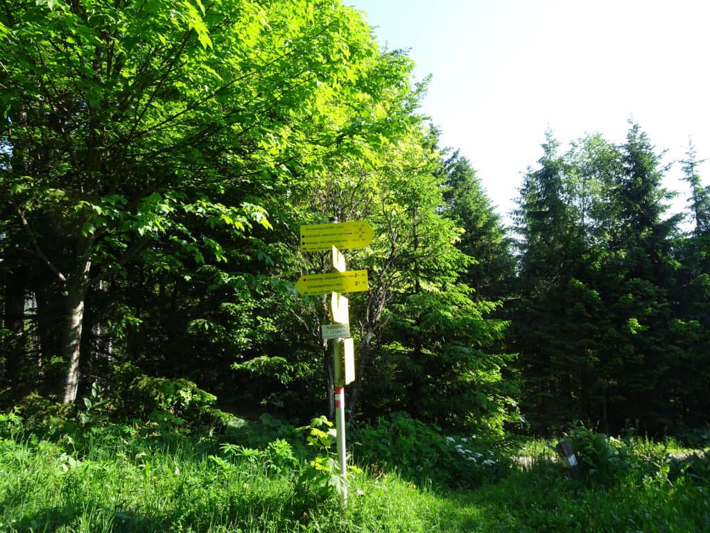 At "Nasskamm" turn right and follow the trail towards "Zimmermann-Hütte"