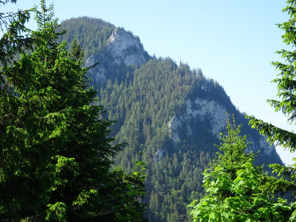 Grabner-Gupf seen from the trail