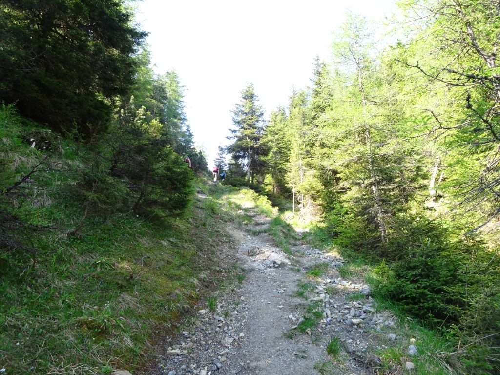 Ascent towards "Gupfsattel"