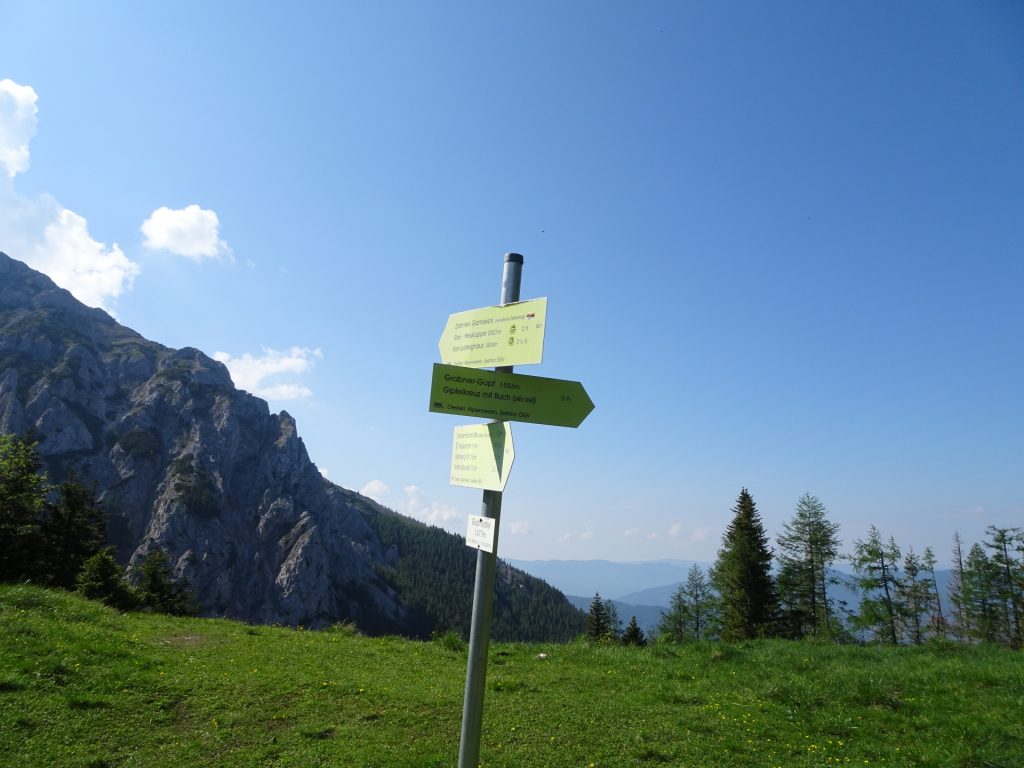 At "Gupfsattel" follow the trail towards "Zahmes Gamseck"