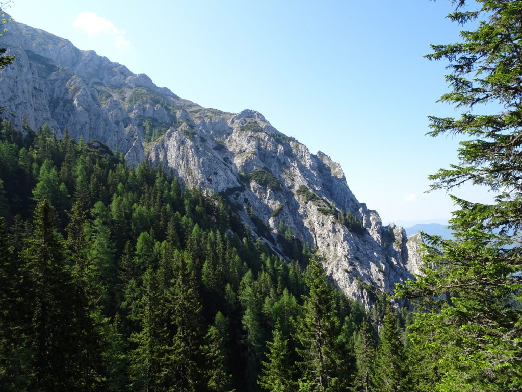 View from trail towards "Zahmes Gamseck"