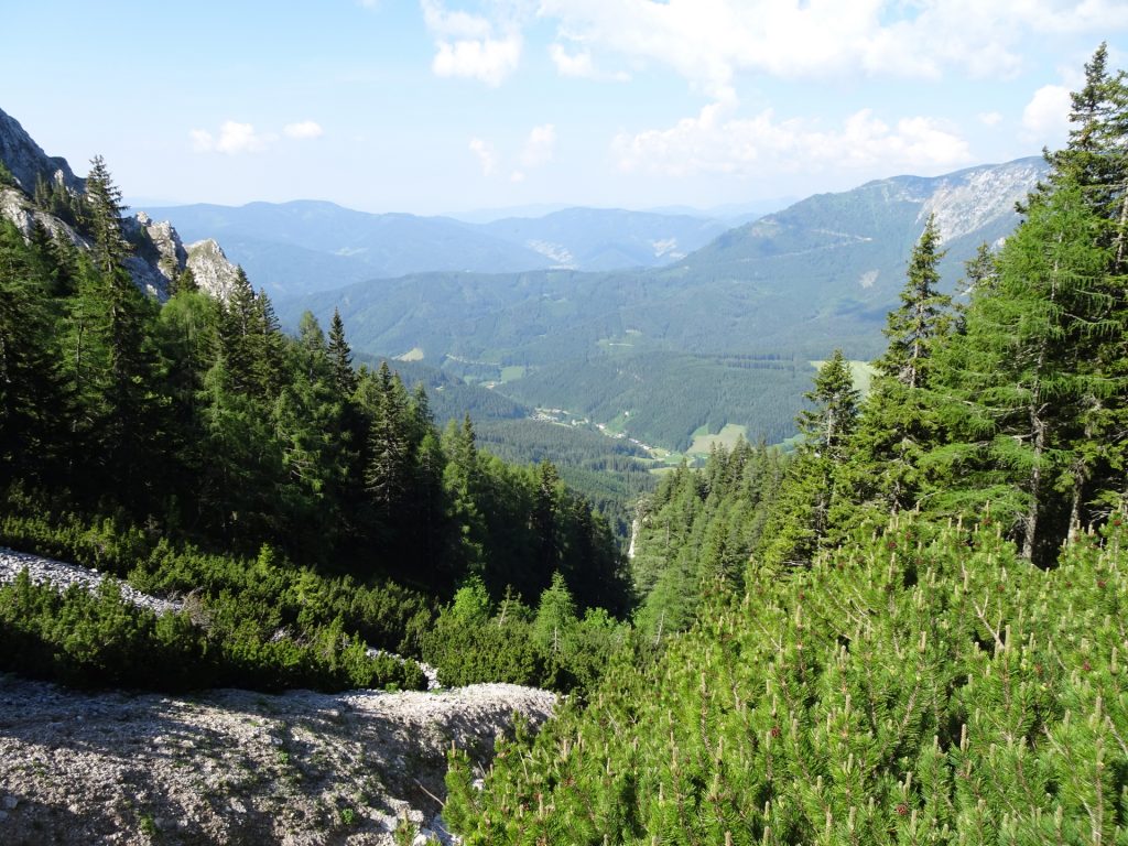 View from trail towards "Zahmes Gamseck"