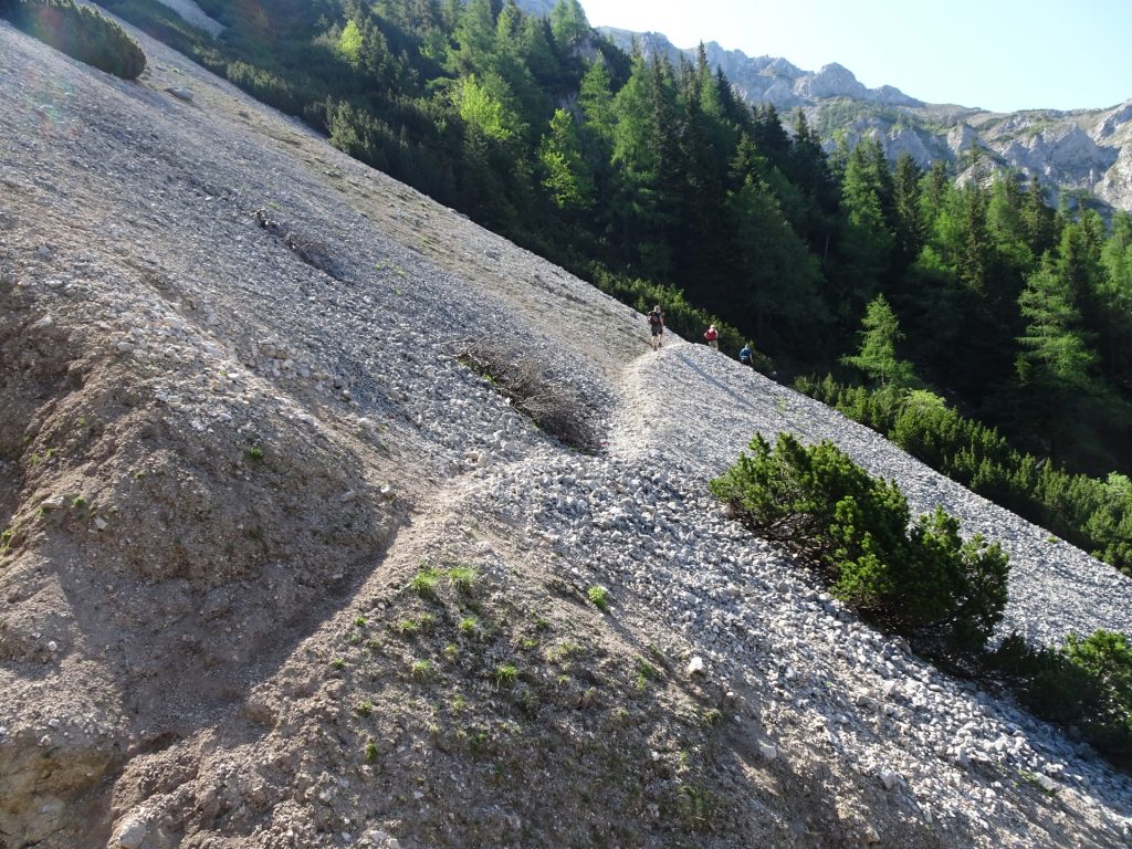 Trail towards "Zahmes Gamseck"