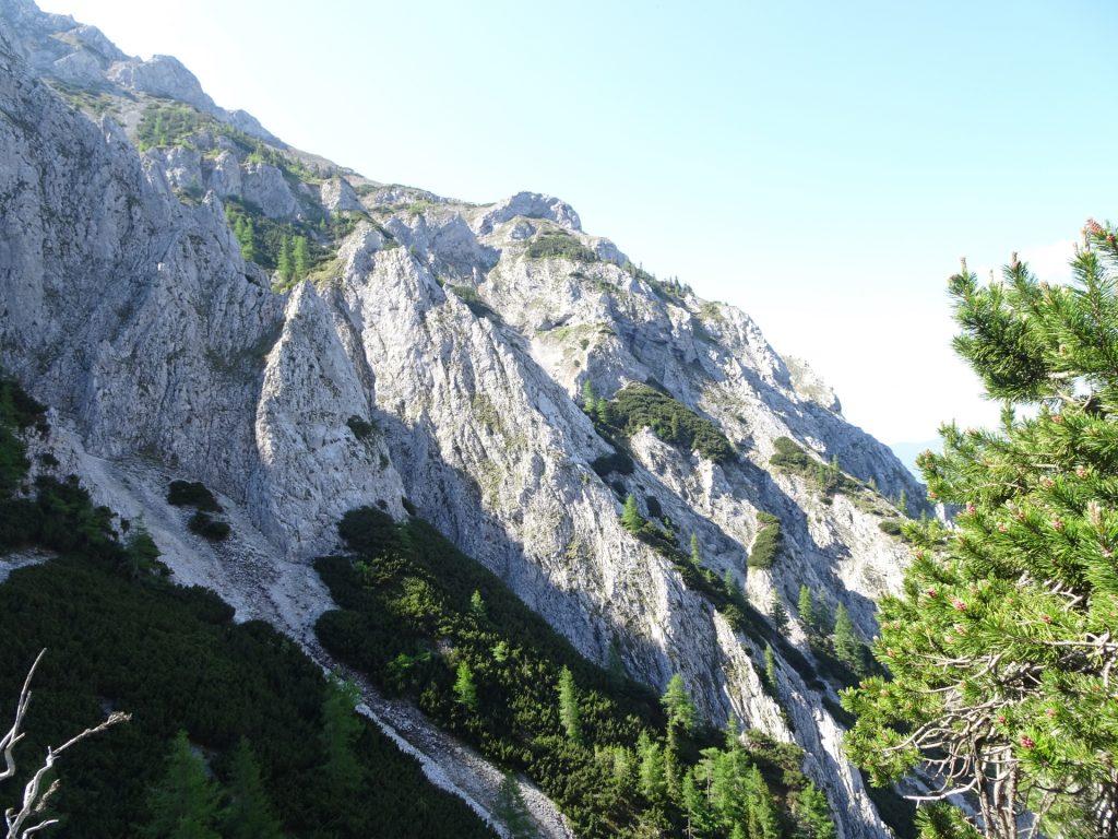 View from trail "Zahmes Gamseck"