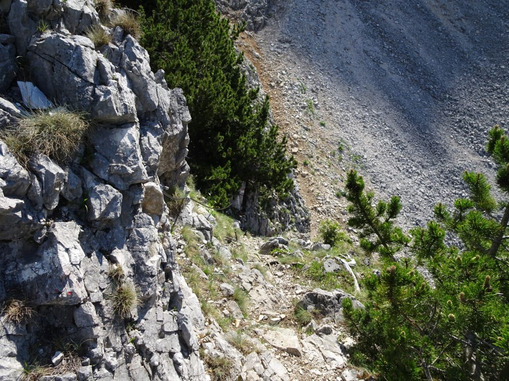 Begin of "Zahmes Gamseck" via ferrata (descent first!)