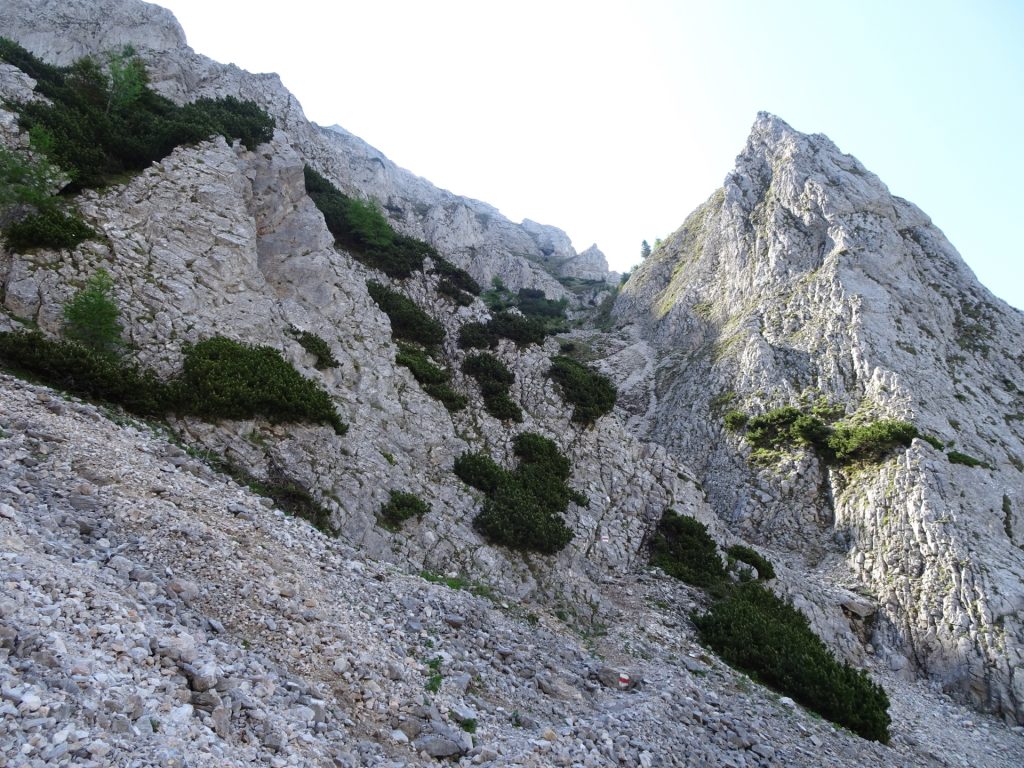 Climbing up the "Zahmes Gamseck" via ferrata