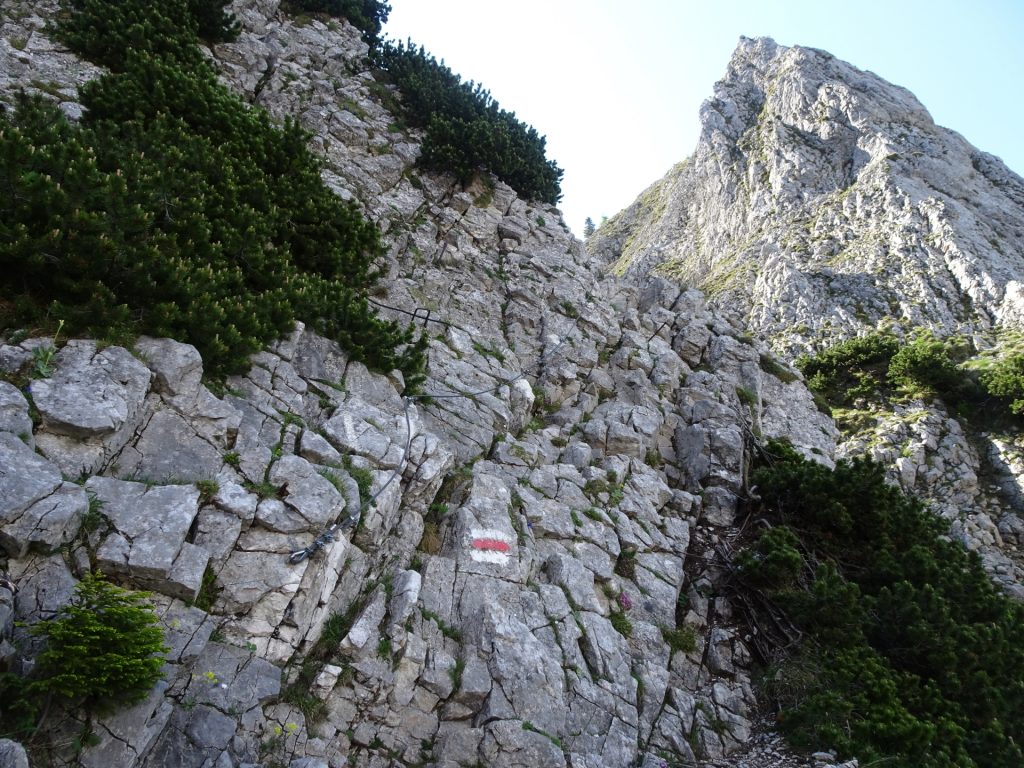 Climbing up the "Zahmes Gamseck" via ferrata