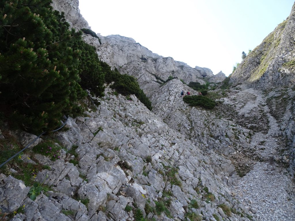 Climbing up the "Zahmes Gamseck" via ferrata