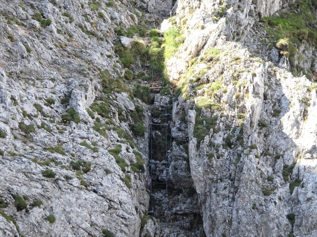 Climbing up the "Zahmes Gamseck" via ferrata