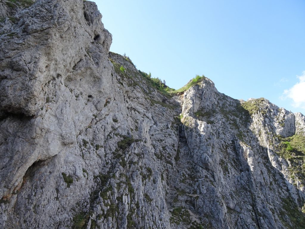 Climbing up the "Zahmes Gamseck" via ferrata