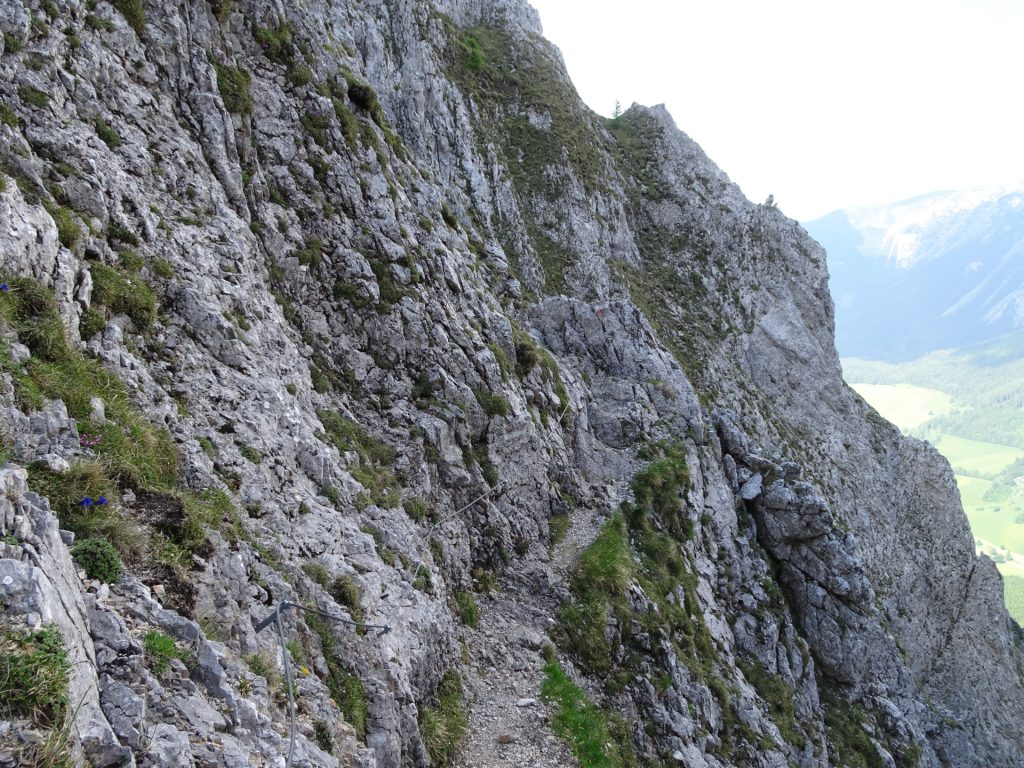 Climbing up the "Zahmes Gamseck" via ferrata