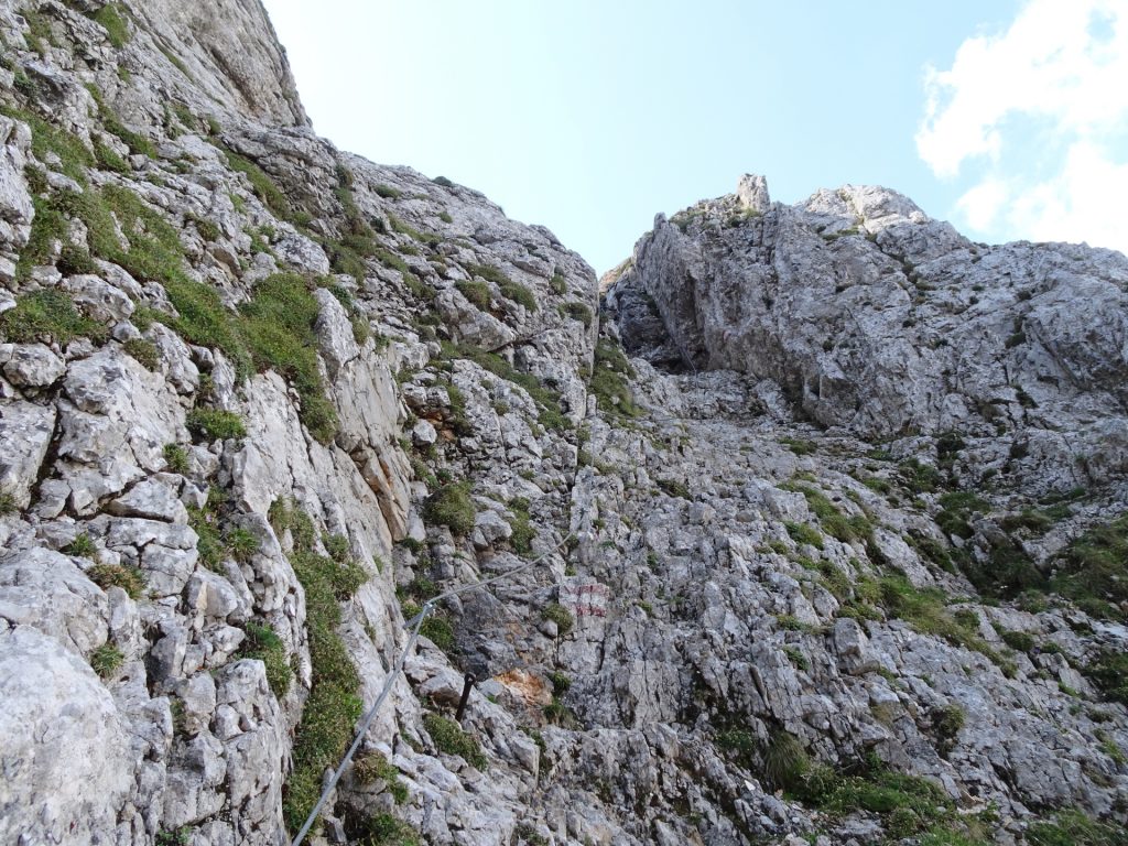 Climbing up the "Zahmes Gamseck" via ferrata