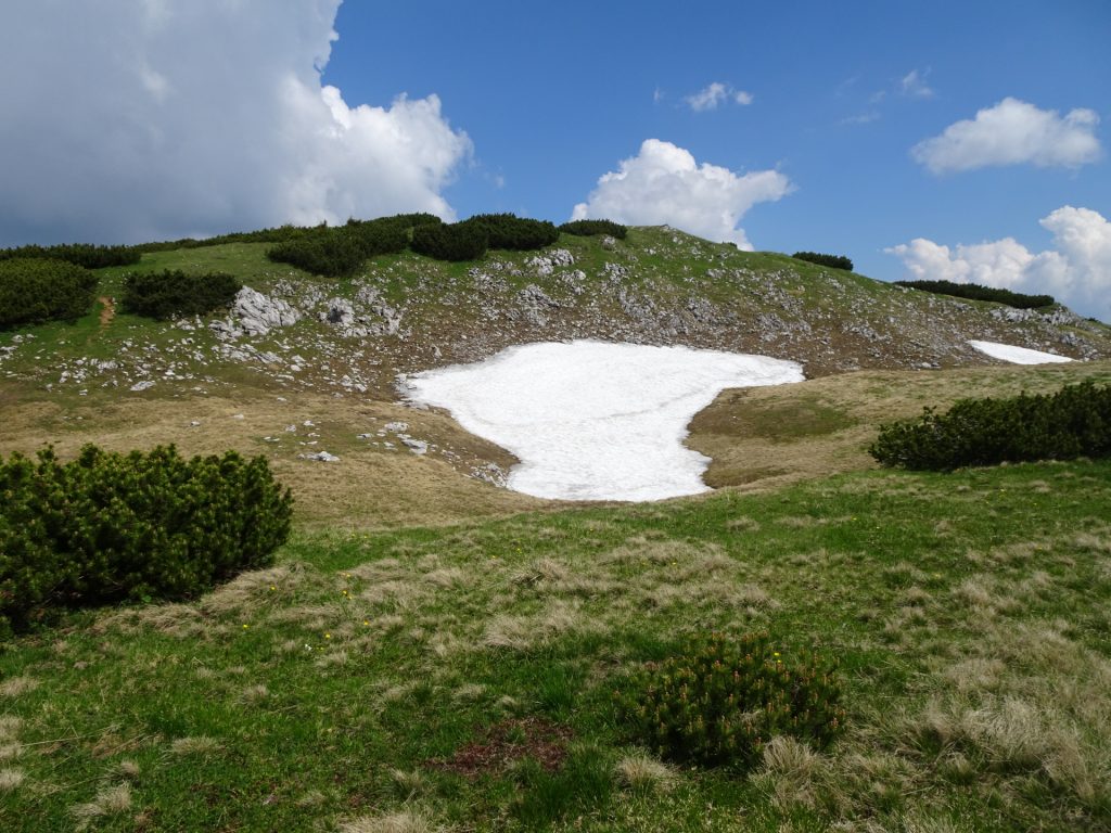 Towards the summit of "Gamseck" (keep left here!)