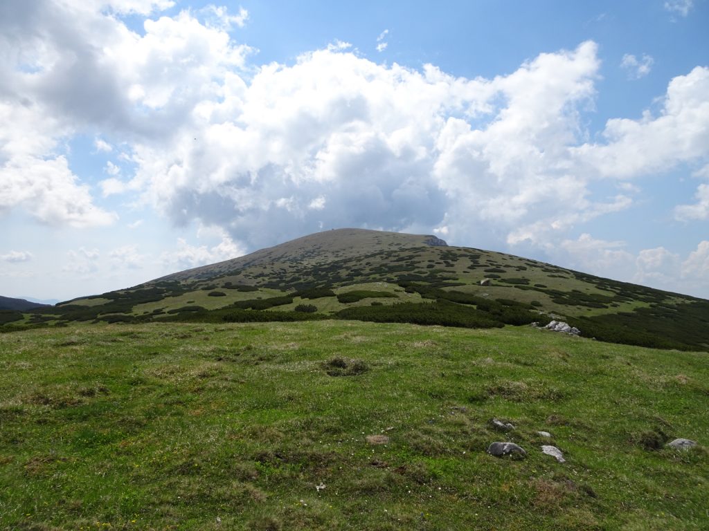 "Heukuppe" seen from "Gamseck"