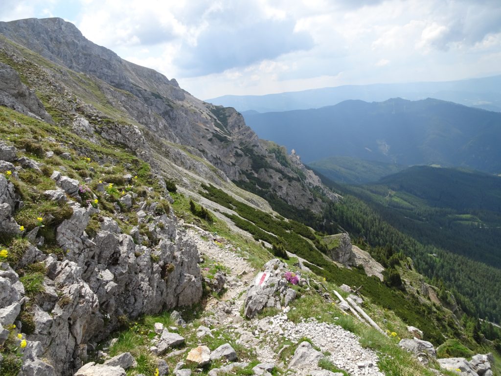 Descending via "Altenberger Steig"