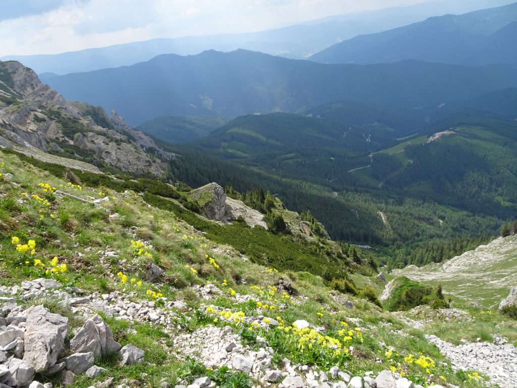 Descending via "Altenberger Steig"