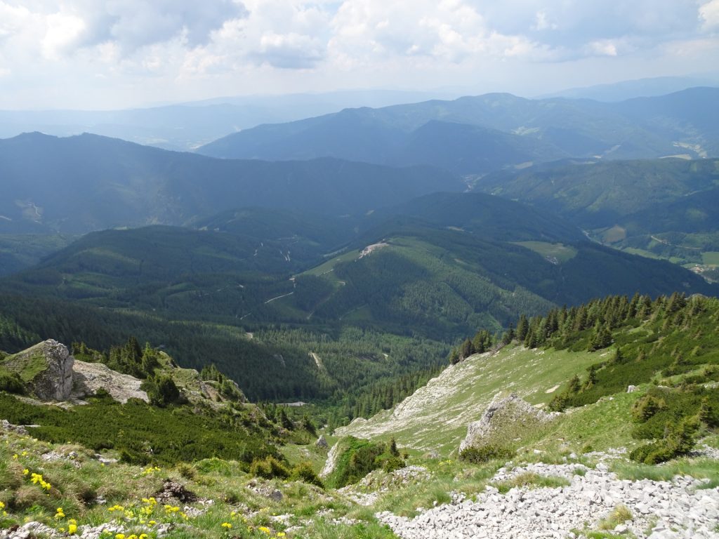 View from "Altenberger Steig"