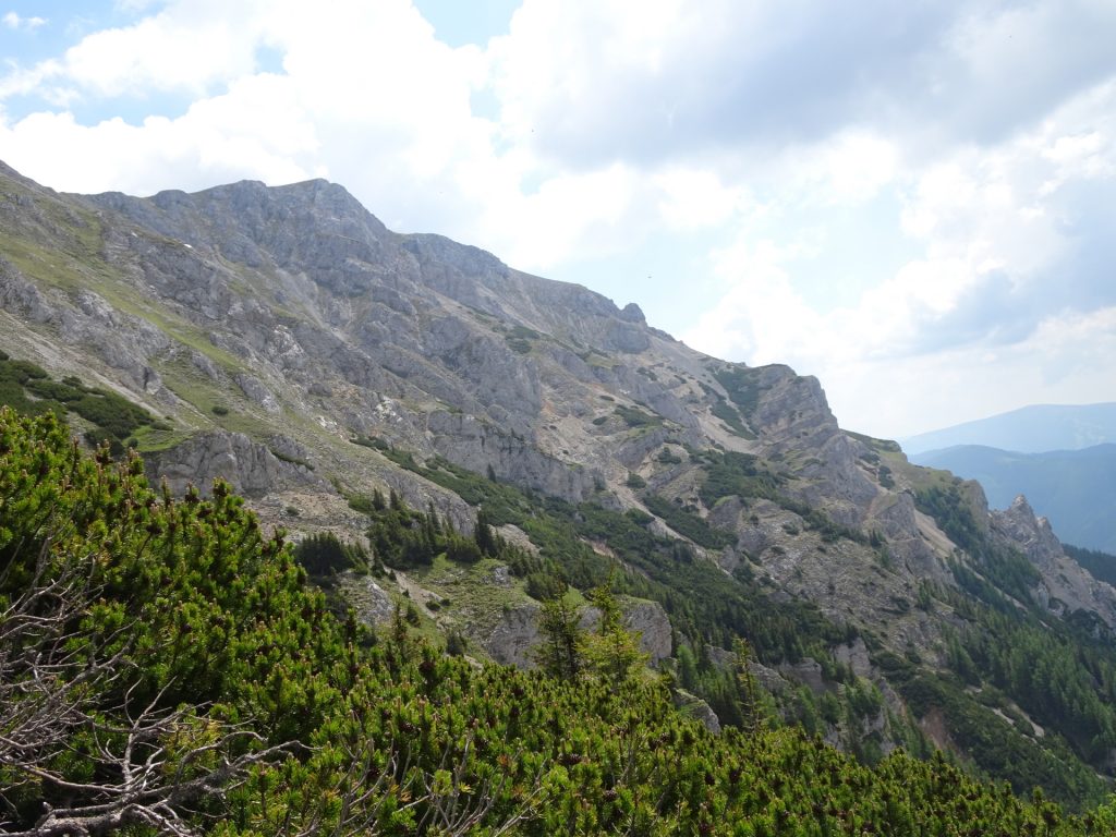 View from "Altenberger Steig"