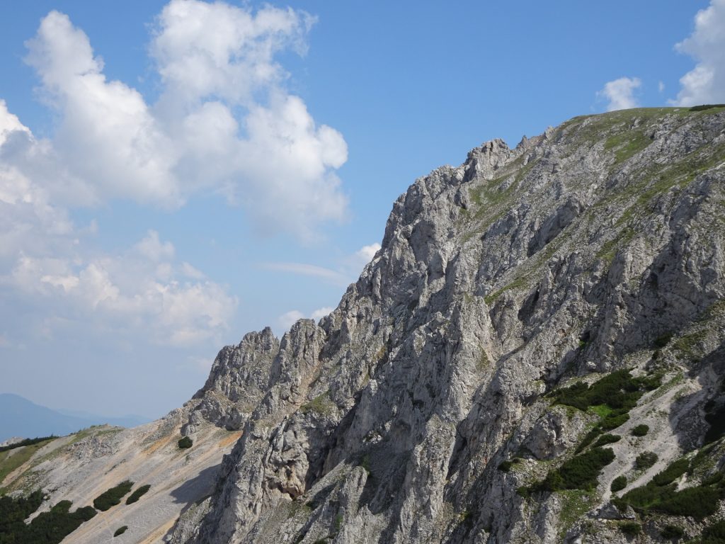 View (back) from "Altenberger Steig"