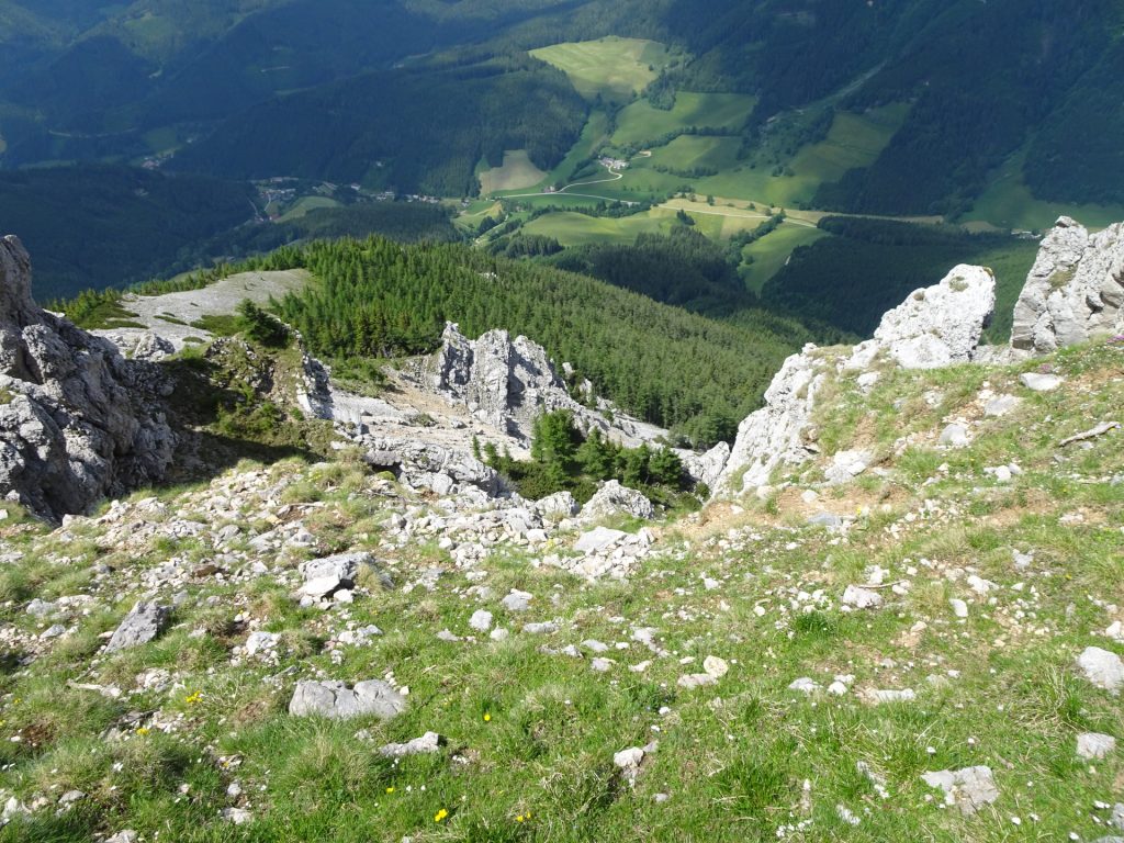 View from "Altenberger Steig"