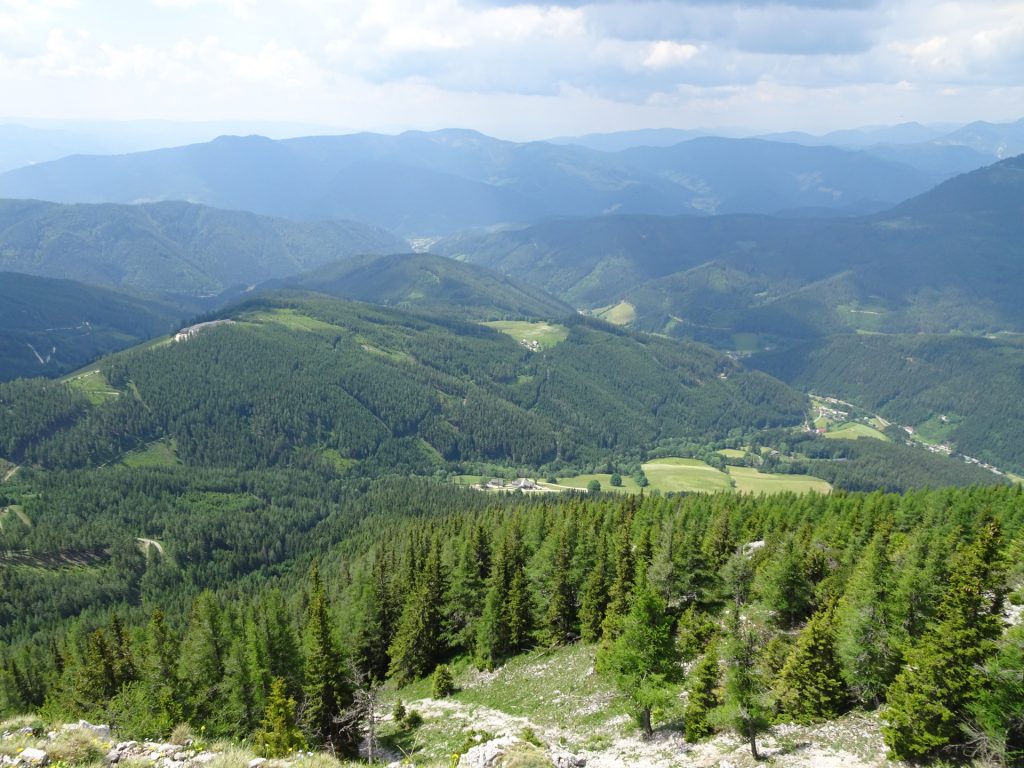 View from "Altenberger Steig"