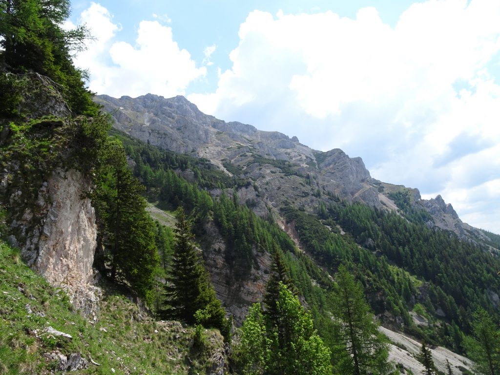 View from "Altenberger Steig"