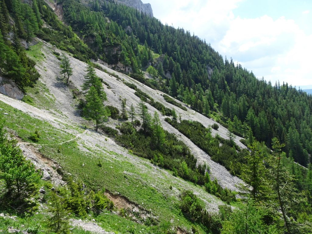 Descending via "Altenberger Steig"