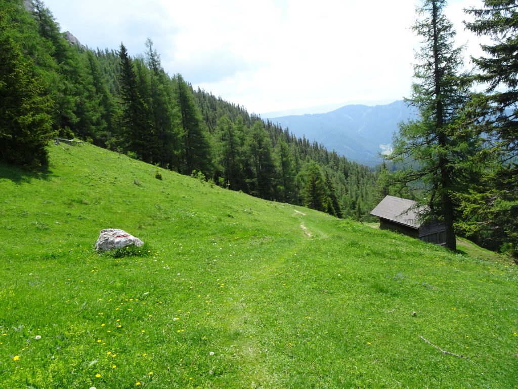 Descending via "Altenberger Steig"