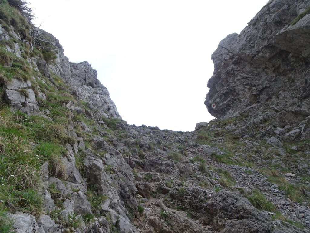 Climbing up "Fuchsloch-Steig"