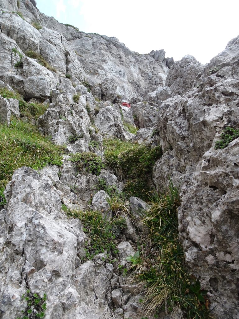 Climbing up "Fuchsloch-Steig"