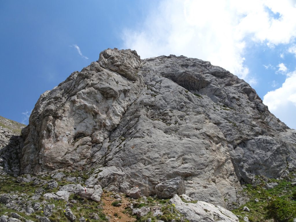 Follow the markings of "Fuchsloch-Steig"