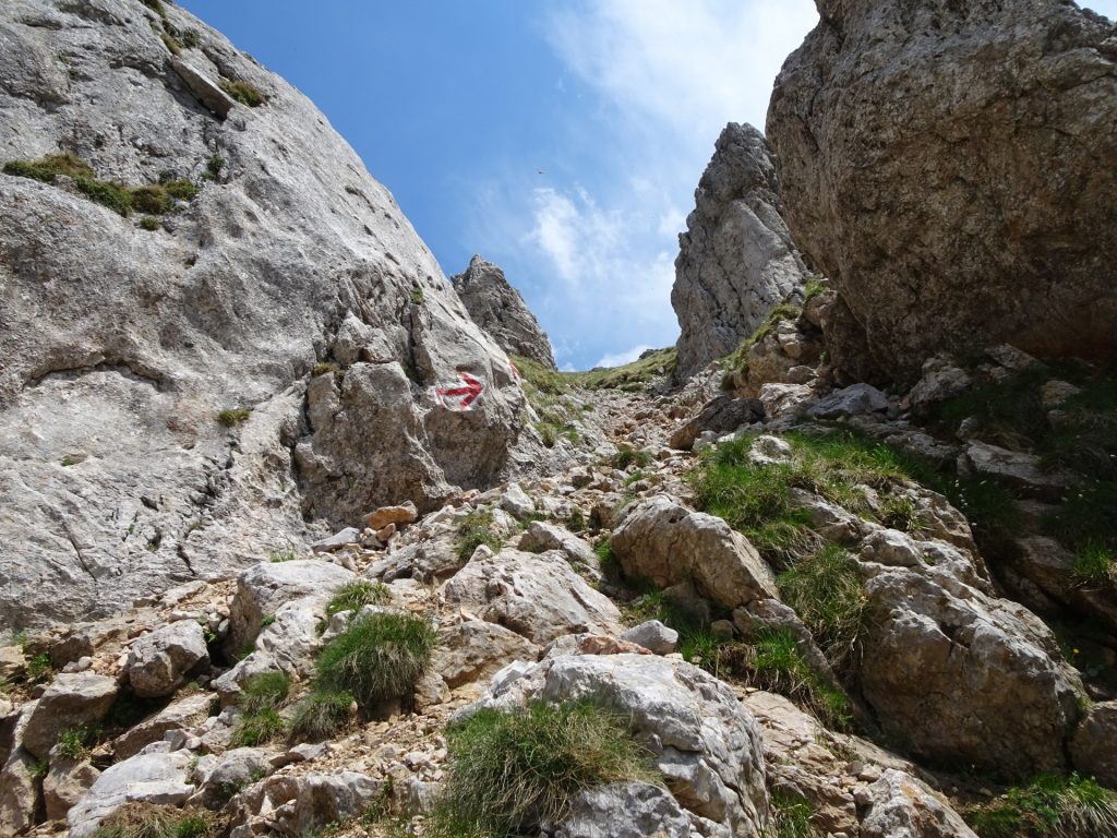 Follow the markings of "Fuchsloch-Steig"