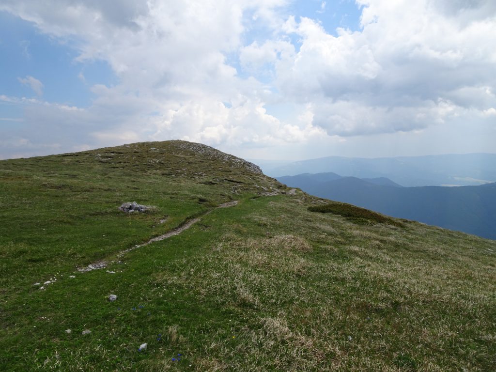 Trail towards "Reißtalersteig"