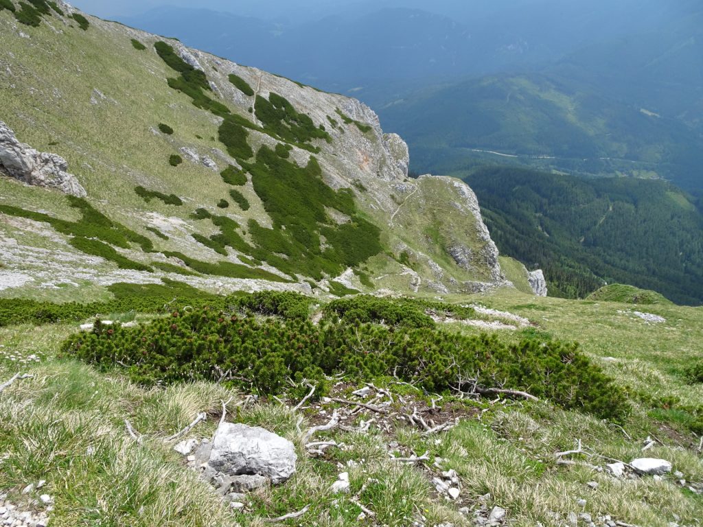 Descending via "Reißtalersteig"