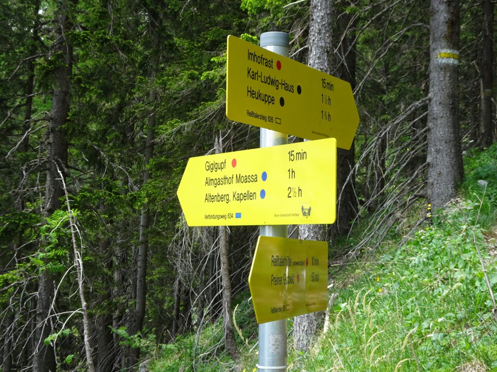 Follow the white-blue-white marked trail towards "Almgasthof Moassa"