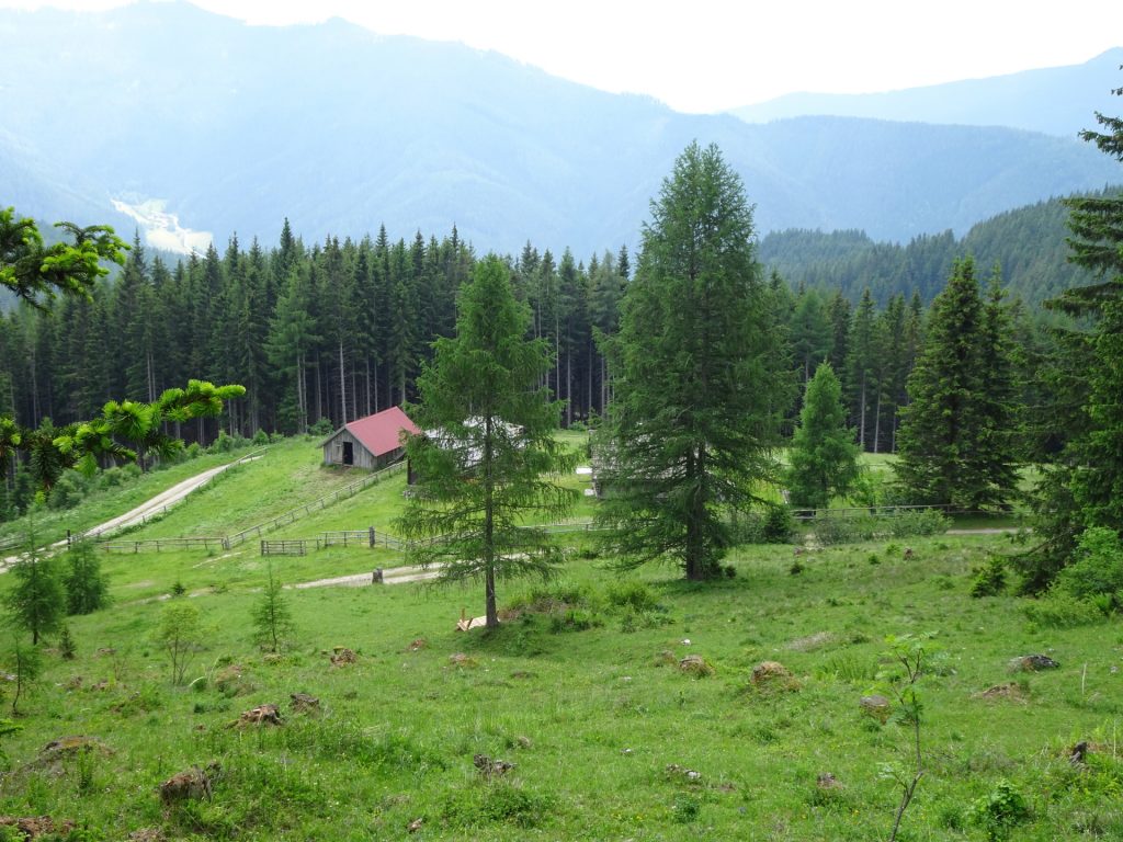 On the trail towards "Almgasthof Moassa"