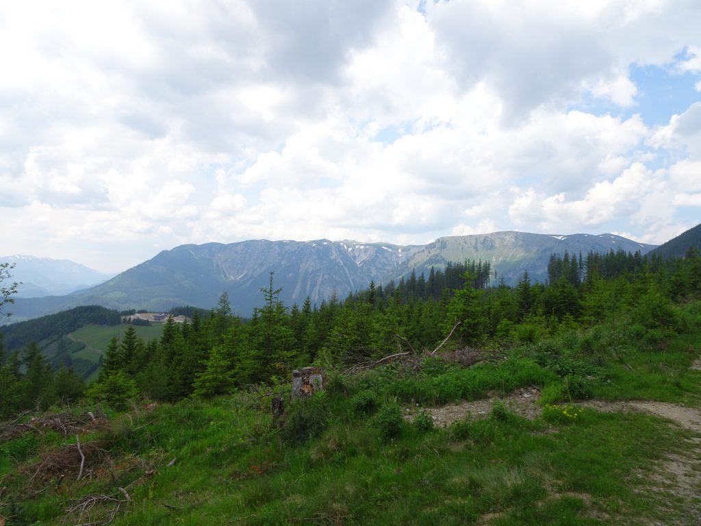 On the trail towards "Almgasthof Moassa"