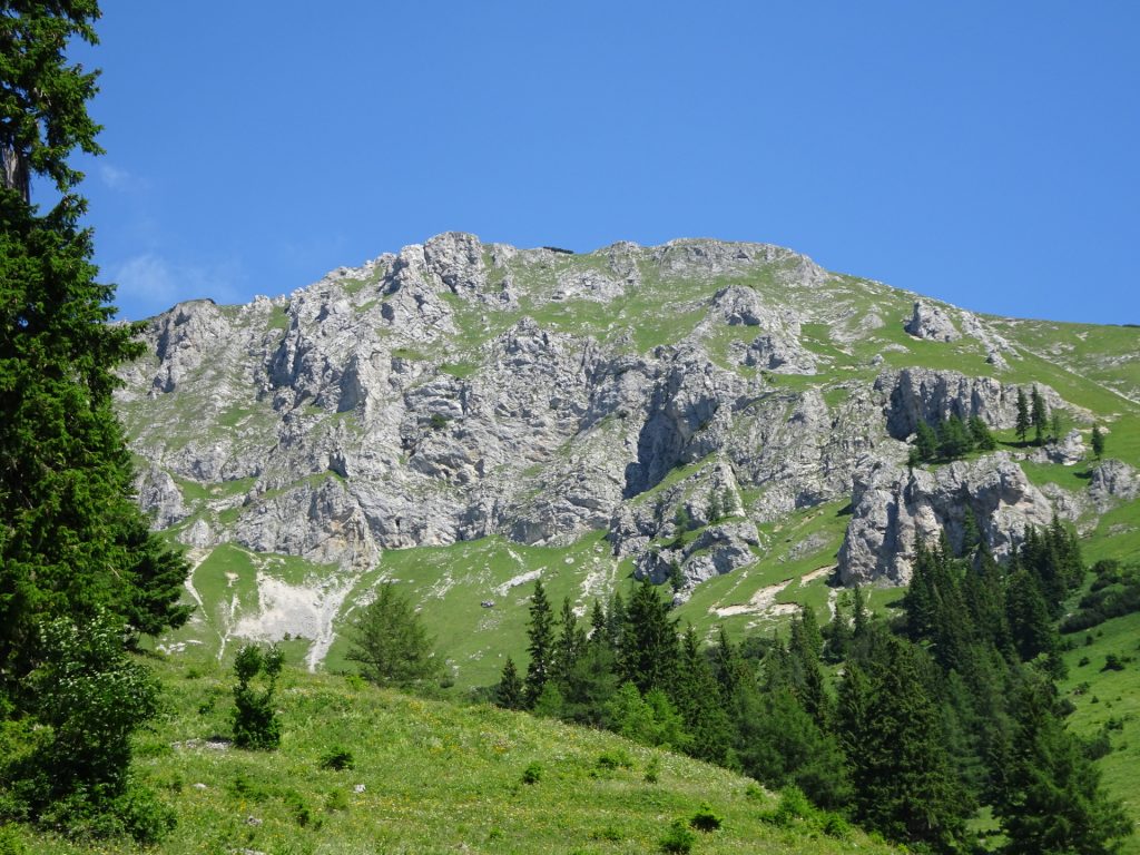 View from "Goas-Steigenblick"