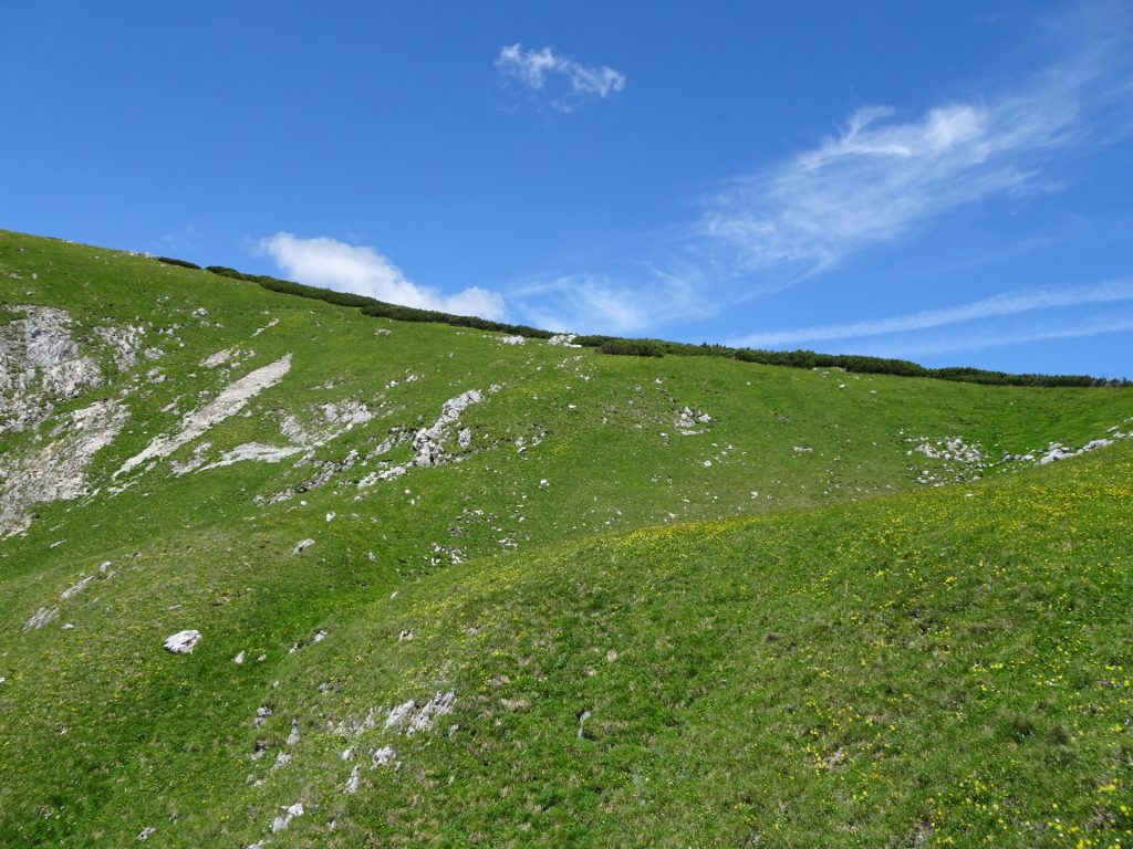 At the end of the climbing route (left)