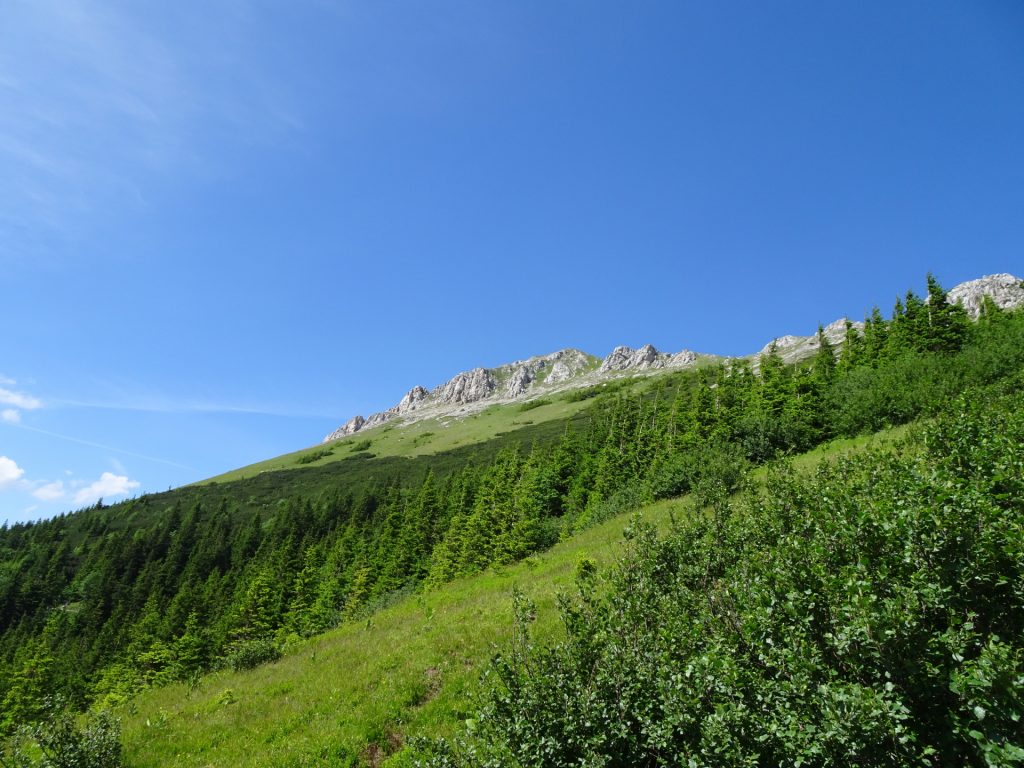 View back from "Teufelssteig"