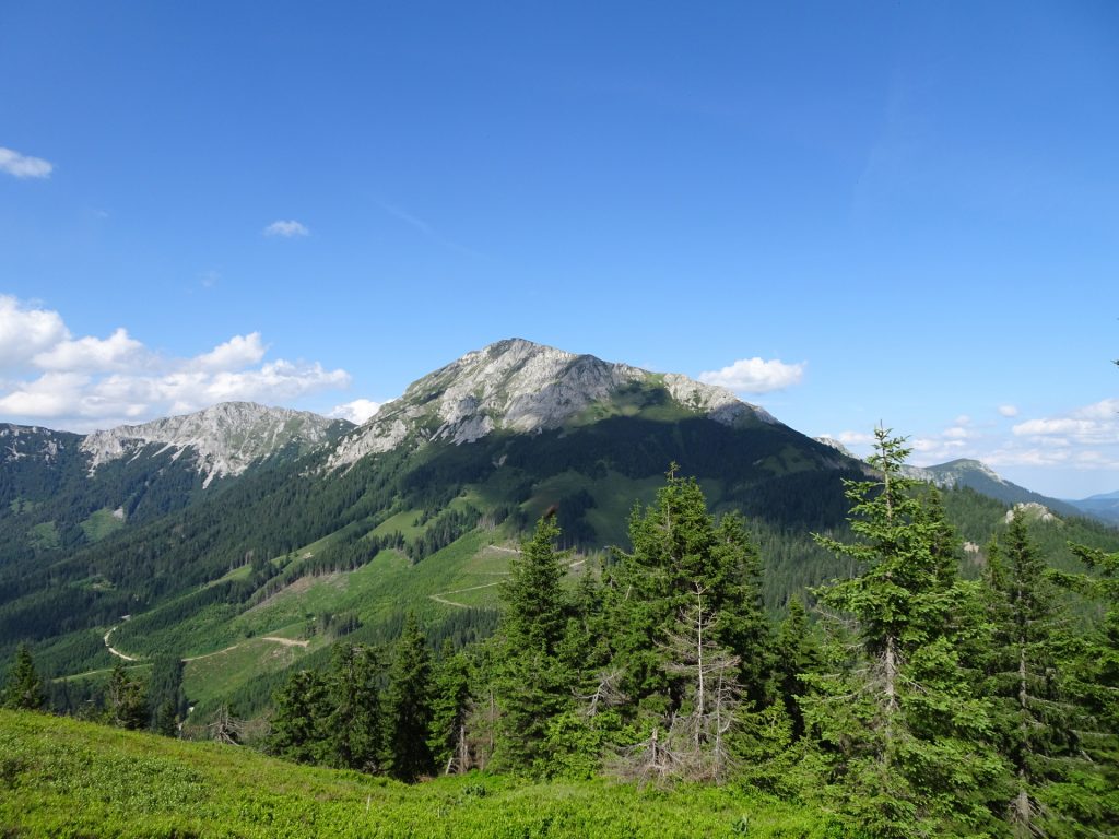View back onto the "Hohe Veitsch" from the trail towards "Turntaler Kogel"