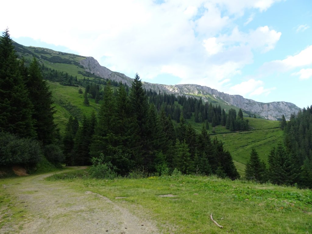 Trail towards "Schalleralm"