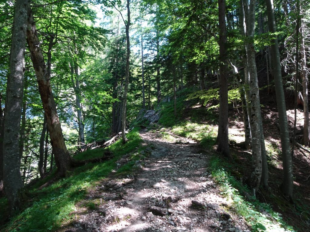 On the trail towards "Trawiesalm"