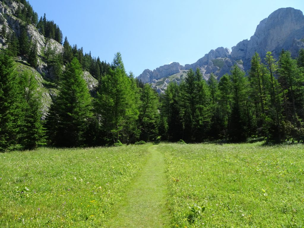 Follow the trail through "Trawiesalm"