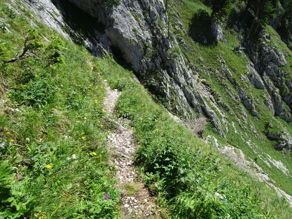 Follow the narrow and exposed trail